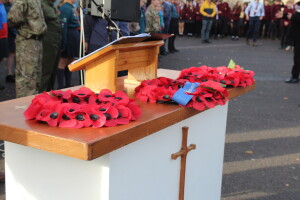 Article Thumbnail Image