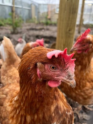 Article Thumbnail Image