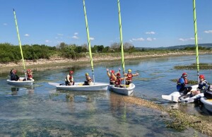 Article Thumbnail Image