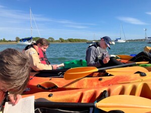 Article Thumbnail Image